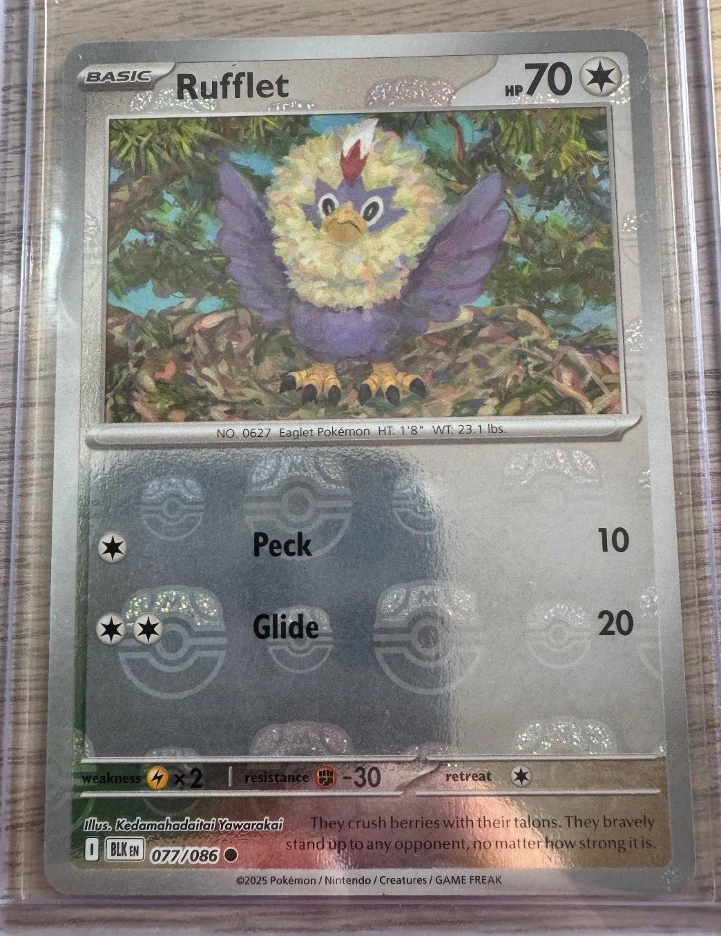 Black Bolt Rufflet [Master-Ball] Pokémon card